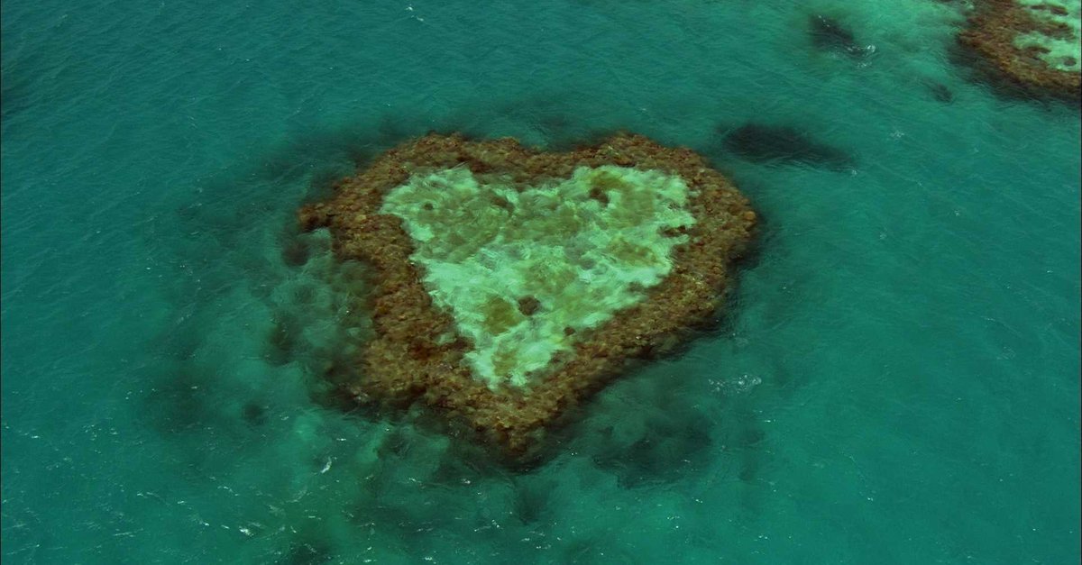 Home · Film 2013 · Trailer · Kritik