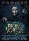 Poster Into the Woods 