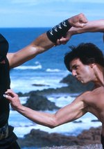 Poster Kung Pow: Enter the Fist