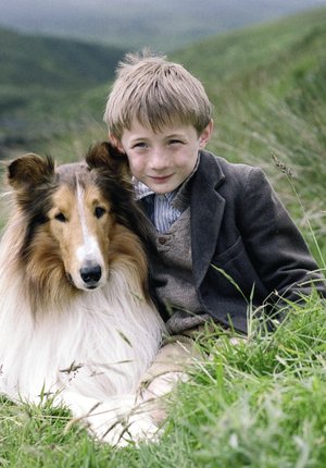 Lassie Film 2005 Trailer Kritik