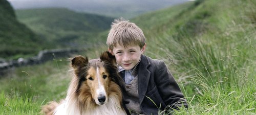 Lassie Film 2005 Trailer Kritik