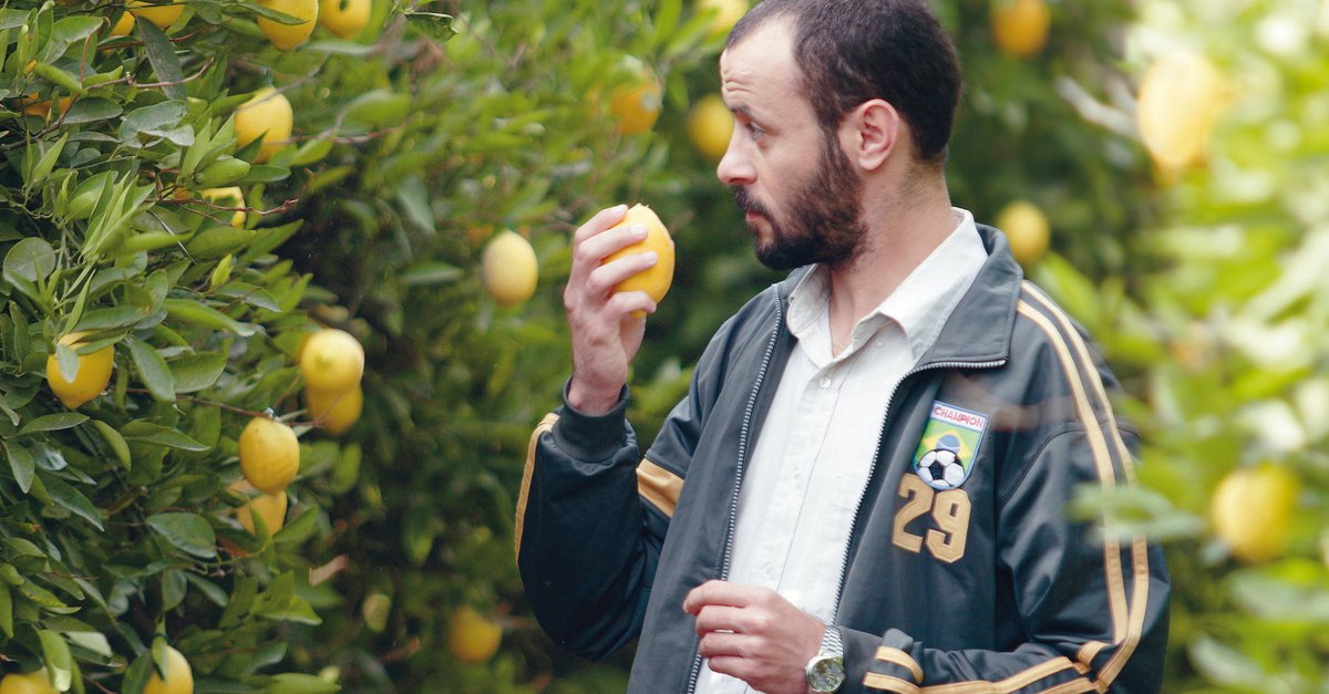 Lemon Tree · Film 2008 · Trailer · Kritik