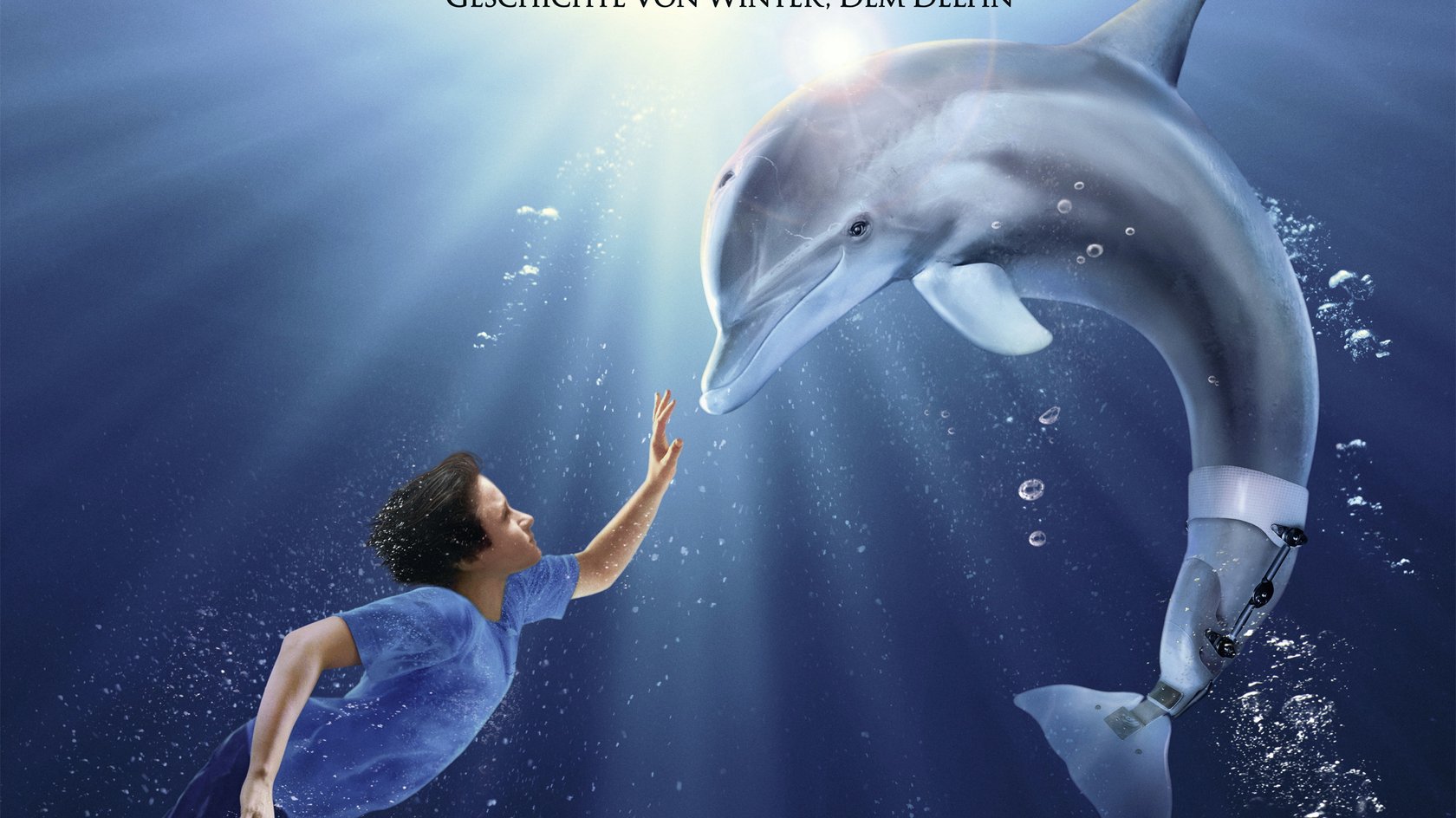 „Mein Freund, der Delfin 3“ Kommt