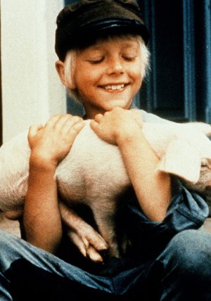 Michel Bringt Die Welt In Ordnung Stream