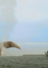 Moby Dick - Die Rückkehr des Killerwals