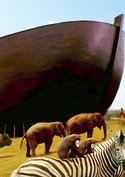 Noah's Ark (2 Teile)