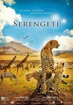 Poster Serengeti