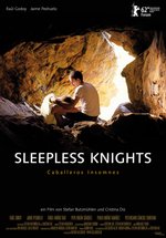 Poster Sleepless Knights