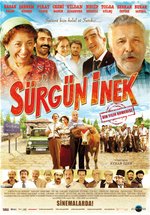 Poster Sürgün inek