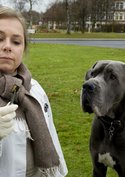 Tatort: Krumme Hunde