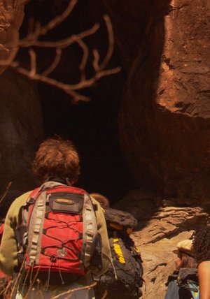 The Cavern - Abstieg Ins Grauen The Cavern - Abstieg Ins Grauen