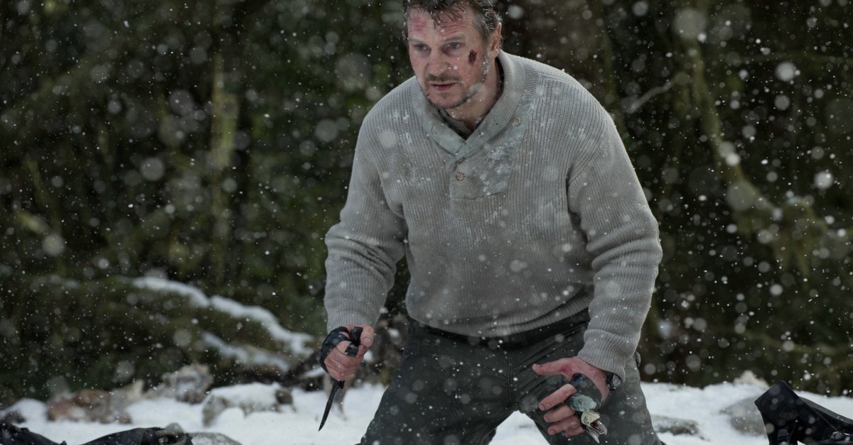 The Grey Unter Wölfen · Film 2012 · Trailer · Kritik