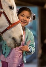 Poster Waar is het paard van Sinterklaas?