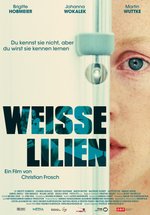 Poster Weiße Lilien