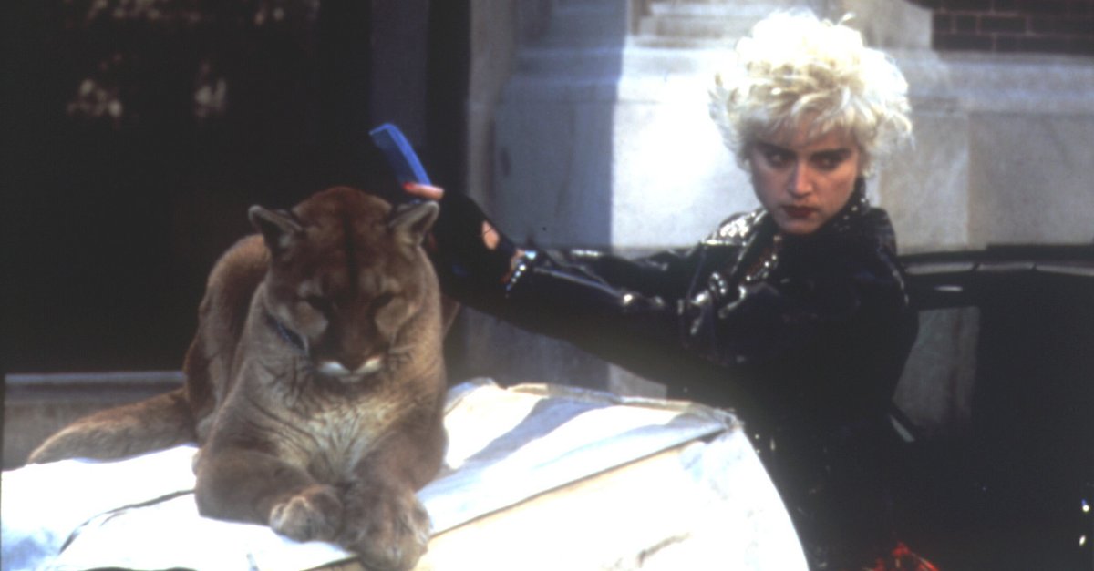 Who's That Girl · Film 1987 · Trailer · Kritik