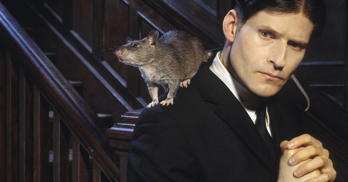 Willard · Film 2003 · Trailer · Kritik