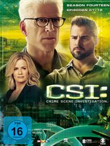 CSI: Crime Scene Investigation - Season 14.1 Poster
