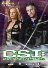CSI: Crime Scene Investigation - Season 4.2 (3 DVDs, Amaray) Poster