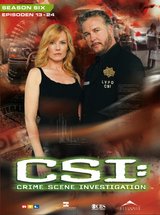 CSI: Crime Scene Investigation - Season 6.2 (3 DVDs) Poster