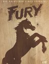 Fury (4 DVDs, Digipak) Poster