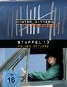 Hinter Gittern - Staffel 13 (6 DVDs) Poster