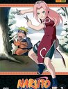 Naruto - Vol. 03, Episoden 11-14 Poster