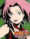 Naruto - Vol. 22, Episoden 93-96 Poster