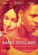 Poster Sand Dollars