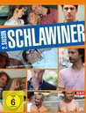 Schlawiner - 2. Saison (3 Discs) Poster