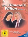 Um Himmels Willen - Staffel 13 Poster