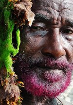 Poster Lee Scratch Perry's Vision of Paradise