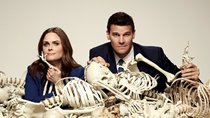 Bones Staffel 12: Deutschlandstart der letzten Season