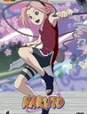 Naruto - Vol. 09, Episoden 37-40 Poster