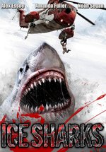 Poster Ice Sharks