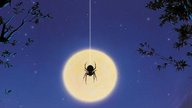 Die 3 schlimmsten Horrorfilme für Menschen mit Spinnenangst