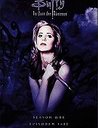 Buffy - Im Bann der Dämonen: Season 1 Collection Poster