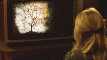 Halloween-Filme: TV-Programm & Streaming-Tipps zur Hexennacht