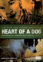 Poster Heart of a Dog