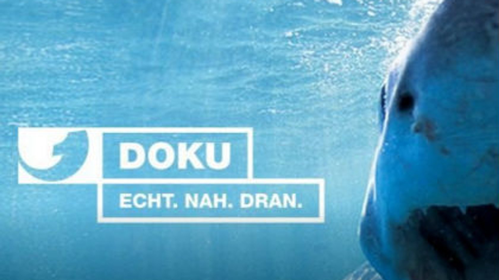 kabel 1 doku programm heute