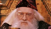 Phantastische Tierwesen 2: Er soll der neue Albus Dumbledore werden