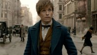 Newt Scamander: Stolzer Hufflepuff, Artenschützer & wissenschaftlicher Autor