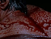 Feminismus und Horror: 8 Horrorfilme, die ihr Genre positiv verändert haben 