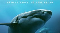 „47 Meters Down“: Neues Video versüßt den Deutschland-Start des Hai-Horrors