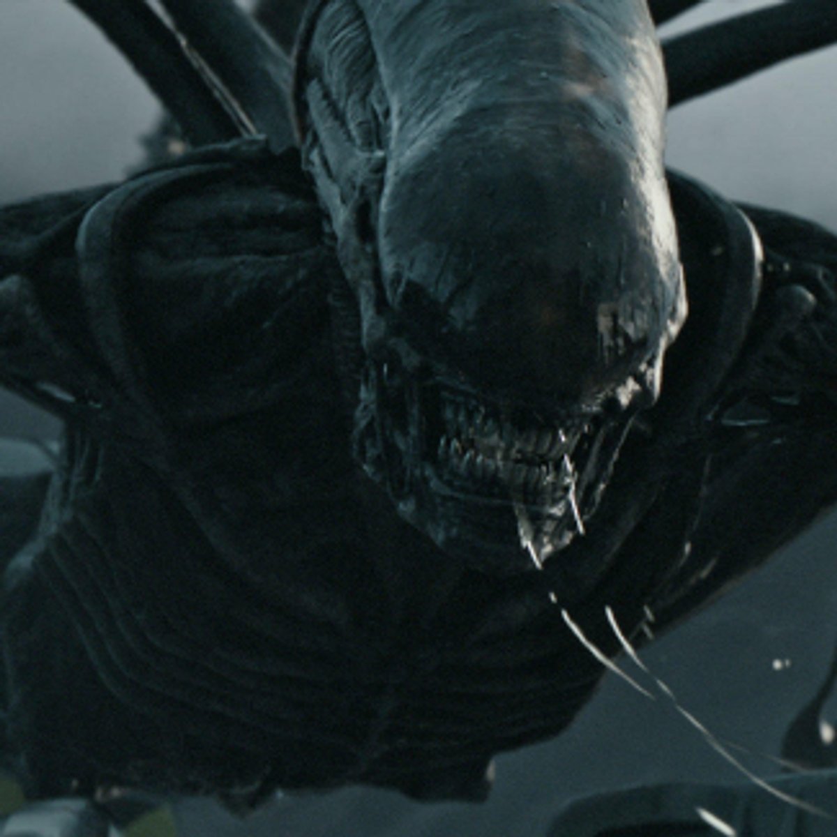 Prometeo 2 Extraterrestre Fitting Blomkamp, Scott's Prometheus 2 In