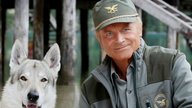„Die Bergpolizei“: Neue Serie mit Terence Hill startet endlich im deutschen Fernsehen!