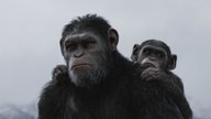 "Planet der Affen: Survival"-Kritik: Herz der Finsternis