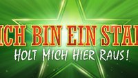 Das wurde aus den 13 „Dschungelcamp“-Gewinnern von 2004 bis 2019