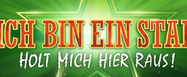 Das wurde aus den 13 „Dschungelcamp“-Gewinnern von 2004 bis 2019