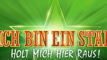 Das wurde aus den 13 „Dschungelcamp“-Gewinnern von 2004 bis 2019