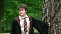 „Harry Potter“: Alle Spiele für PC, Handy & Konsole – Karten, Brettspiele, Quizze & Escape Rooms